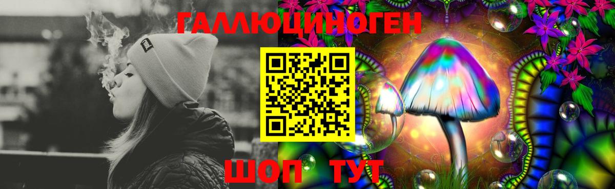 Псилоцибиновые грибы MAGIC MUSHROOMS Сухой Лог